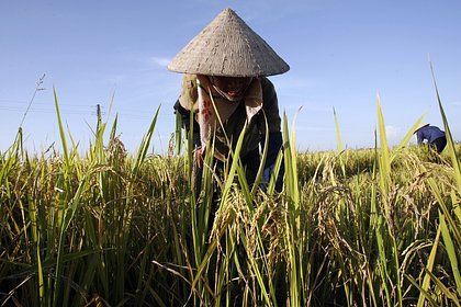 15 октября: какой праздник сегодня отмечают в России и мире