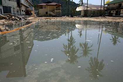 Охранник встретил предвещающего смерть призрака, попытался угнать автомобиль и захлебнулся
