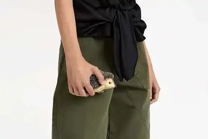 Киркоров подарил Собчак сумку-ежа почти за 100 тысяч рублей. Почему весь мир сходит с ума по этим нелепым аксессуарам?