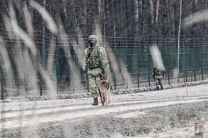 В России оценили обстановку на границе Украины и Белоруссии