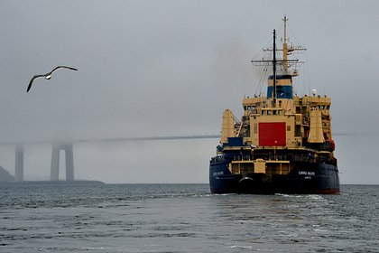 Названы сложности развития перевозок по Северному морскому пути