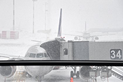 «Аэрофлот» запланировал возобновить рейсы в Шереметьево по расписанию