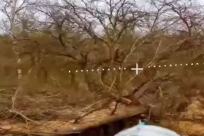 Опубликовано видео уничтожения техники и бойцов ВСУ FPV-дронами