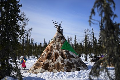 Россиянка описала жизнь в чуме на Крайнем Севере фразой «за продуктами день на оленях»