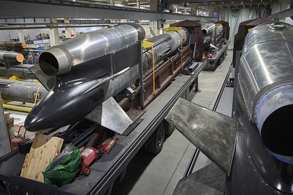 Стало известно о выгоде Зеленского от уничтожения производства ракет «Фламинго»