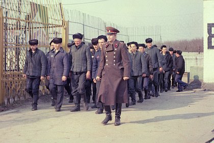 Вора в законе Васю Бриллианта называли легендой преступного мира. Как он стал главной проблемой для надзирателей советских тюрем?