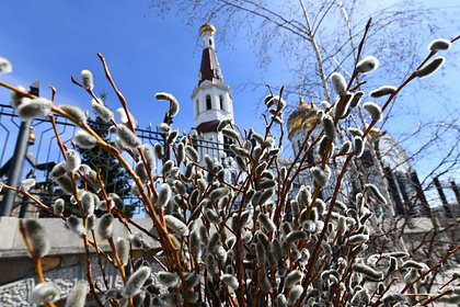 Вербное воскресенье в 2026 году: смысл и традиции православного праздника