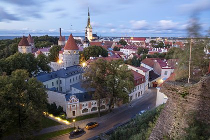 В России сделали заявление о сбитом в Эстонии беспилотнике