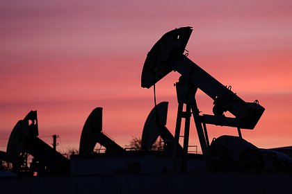 ЕС задумался об отмене ограничений на цены на российскую нефть