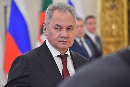 Шойгу высказался о борьбе с дронами ВСУ