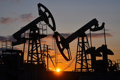 Россия нарастила вывоз нефти до максимума