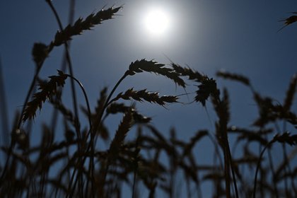 Крупнейшая бизнес-организация мира предупредила о риске нового глобального шока