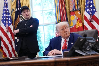 В Британии возмутились позицией Трампа и Маска по Украине